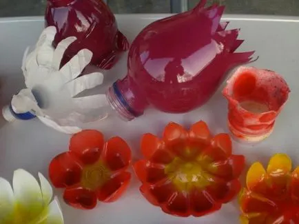 A doua viață din plastic 2