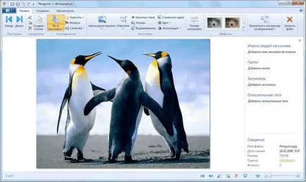 Windows Live componente majore ale ferestrelor
