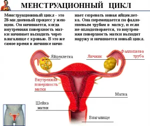 De ce fetele au nevoie de o explicație simplă lunar