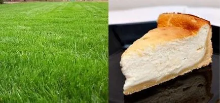 De ce trebuie să știu o anagramă