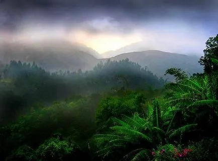 Jamaica - o