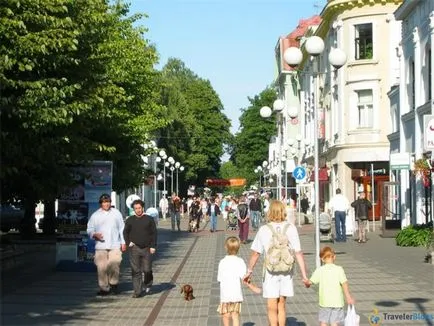 Pentru ceea ce îi place și displace de români aflați în străinătate (la fel ca și română) Pentru ceea ce îi place și displace de români aflați în străinătate