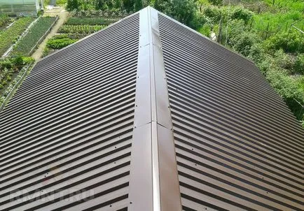 Înlocuirea ardezie în profilat cu mâinile lor (lor) Înlocuirea ardezie în profilat cu propriile lor mâini