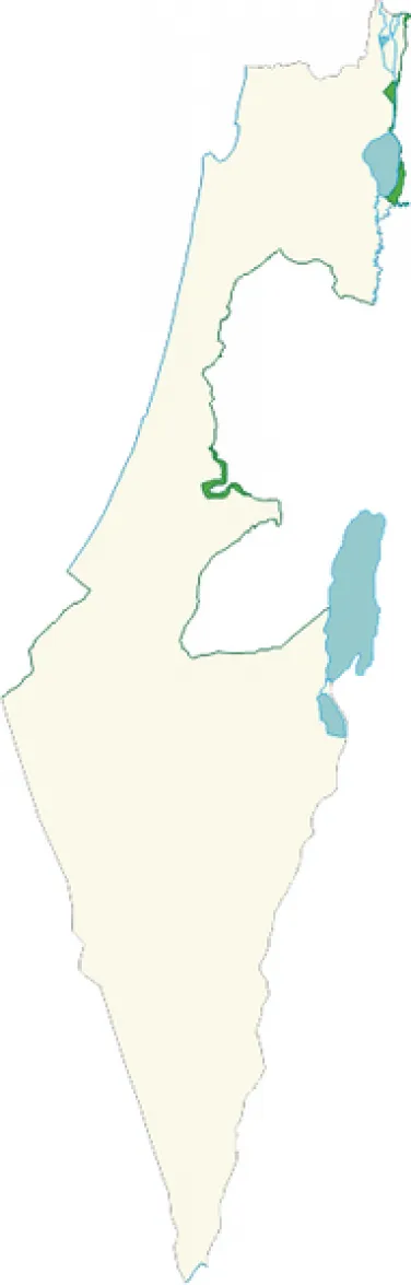 linia verde
