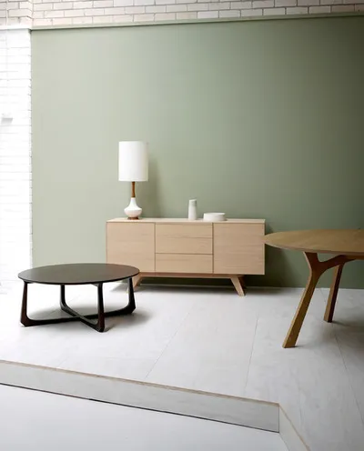Culoarea verde în fotografie interior de interior verde și sfaturi de designer (interior) Culoarea verde în fotografie interior de interior verde și sfaturi de designer