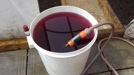 Este verde și acoperit cu un dram de pământ într-o seră - atât seră decontamina solul