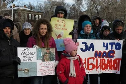 Protejarea depărtează de raliu lipsit de suflet“împotriva uciderii câinilor vagabonzi colectat mai mult de 150 în Barnaul