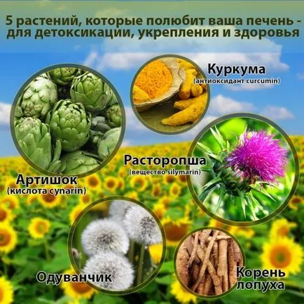 Un ficat sănătos - 7 reguli prețioase