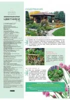 paturi de flori Magazine în grădină torrent free download