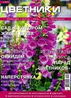 paturi de flori Magazine în grădină torrent free download