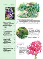 paturi de flori Magazine în grădină torrent free download