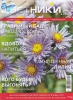 paturi de flori Magazine în grădină torrent free download
