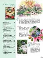 paturi de flori Magazine în grădină torrent free download
