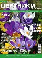 paturi de flori Magazine în grădină torrent free download