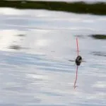 Turte de pescuit