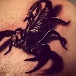 Valoarea unui tatuaj scorpion - sensul cuvântului, istorie, exemple (un tatuaj de un scorpion) Valoarea unui tatuaj scorpion - sensul, istorie, exemple