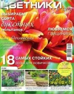 paturi de flori Magazine în grădină torrent free download