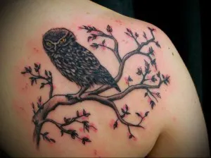 Înțeles bufniță tatuaj - sensul, istorie, fotografii, fapte