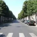 Colecția de cărți, care este