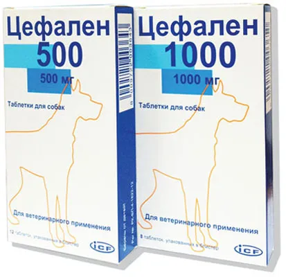 Antibiotice pentru câini
