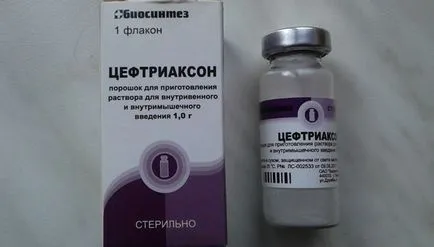 Antibiotice pentru câini
