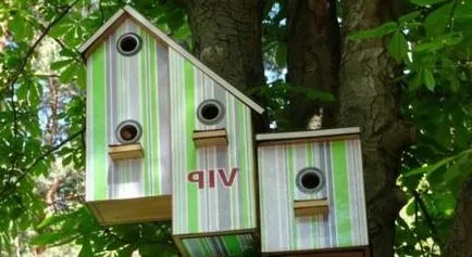 Cum sa faci o Birdhouse dintr-un copac