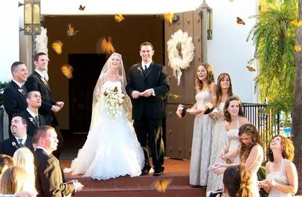 Butterfly este cine sau ce