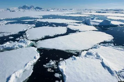 Cum de a trăi pe Antarctica Cum de a trăi pe Antarctica