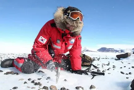 Cum de a trăi pe Antarctica Cum de a trăi pe Antarctica