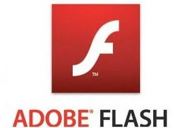 Care este tehnologia Flash