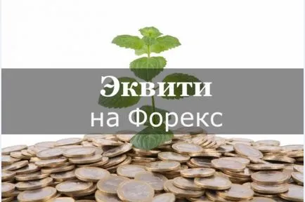 Ce este echitatea