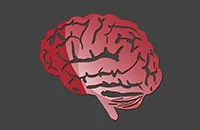 remedii populare pentru tratamentul epilepsiei