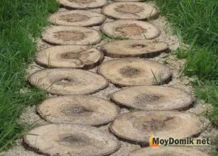 calea de grădină taie un copac