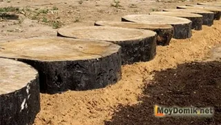 calea de grădină taie un copac