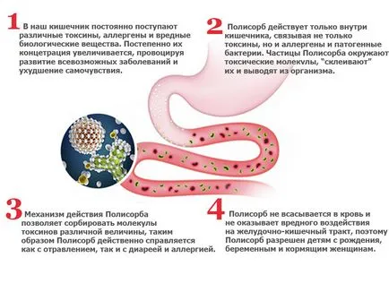 Tratamentul Escherichia coli