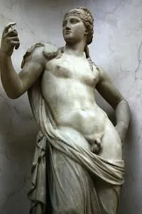 hermafrodite-l