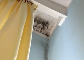 Plăci Fungus de unghii Plăci Fungus de unghii