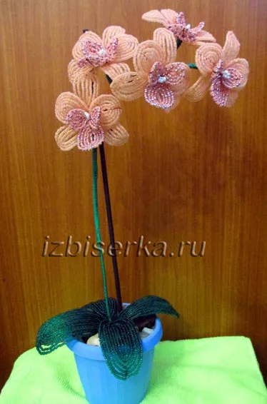Master class gerbera șirag de mărgele