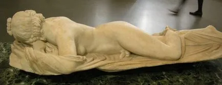 hermafrodite-l