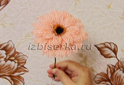 Master class gerbera șirag de mărgele
