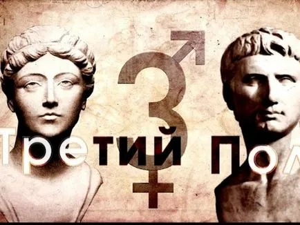 hermafrodite-l