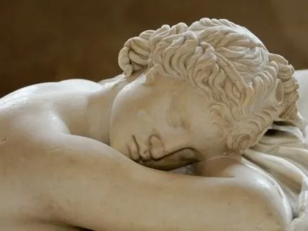 hermafrodite-l