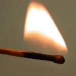 Ei făceau ceea ce toată lumea