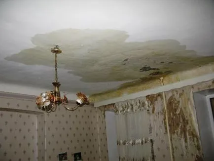 Cum să se ocupe cu vecinii zgomotoase
