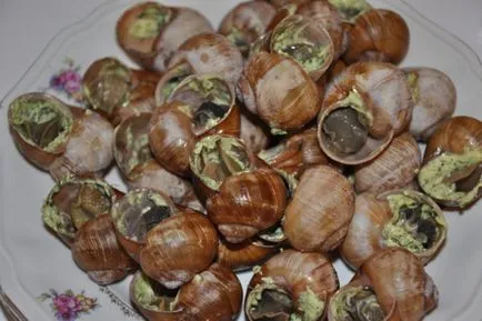 Cum de a găti melci de struguri Cum de a găti melci de struguri