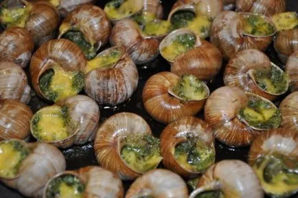 Cum de a găti melci de struguri Cum de a găti melci de struguri