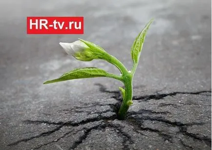 Cum de a crește loialitatea
