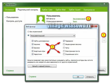 Cum se dezactivează firewall-ul web dr
