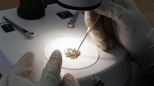 Ca medicamente fabricate