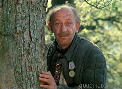 animal rănit, care este animal rănit, care este